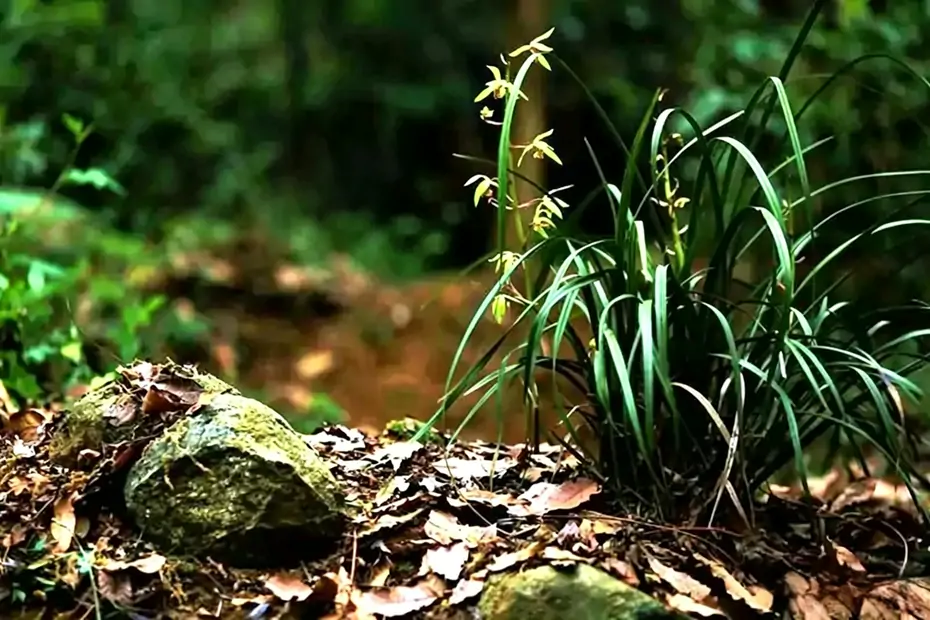 西安王刚结缘盐城周阳生