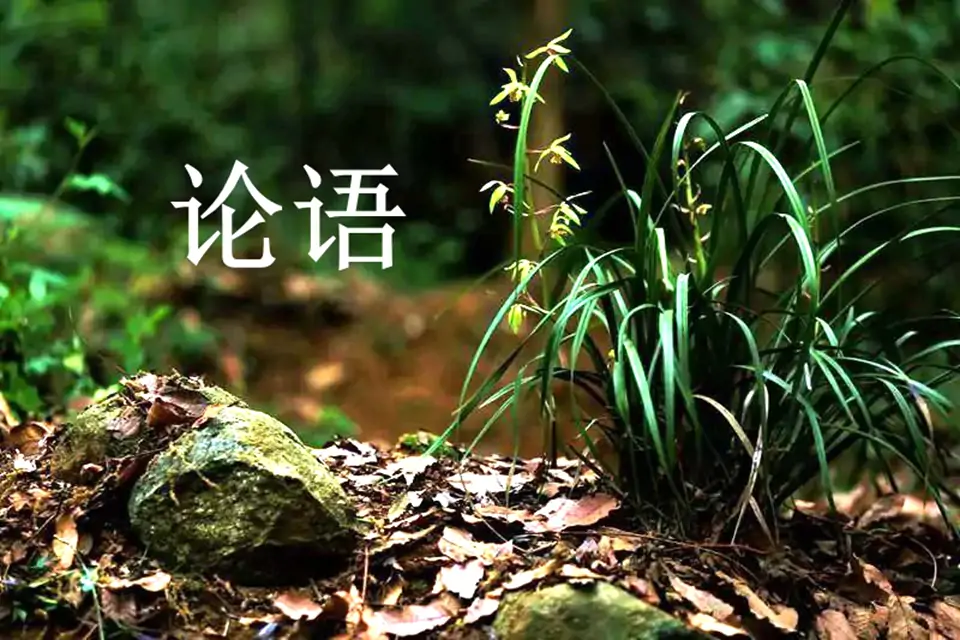 【学习】《论语》里关于诗的章节