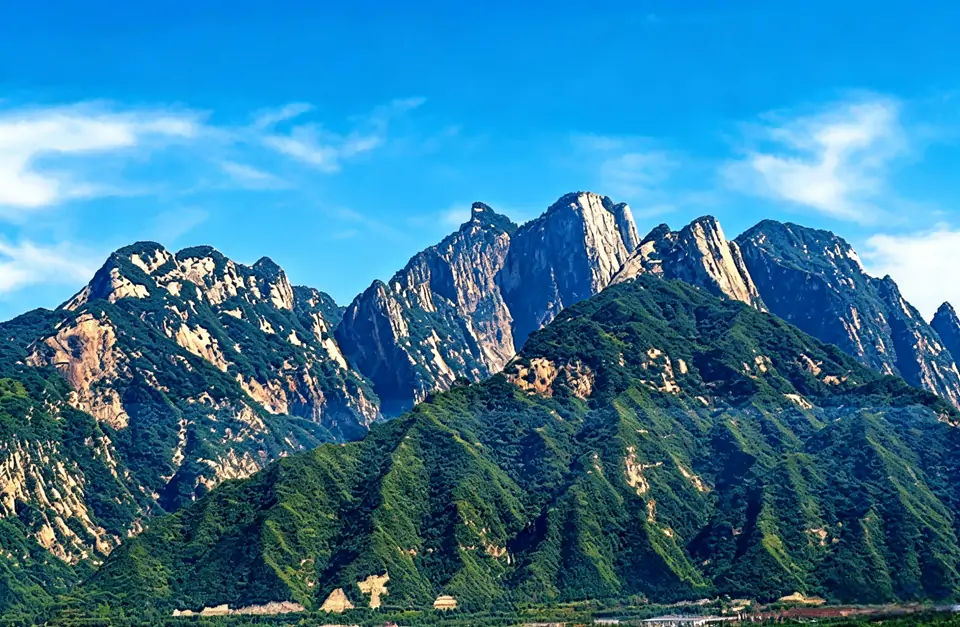 【王刚】初春撰联：松林喜雨