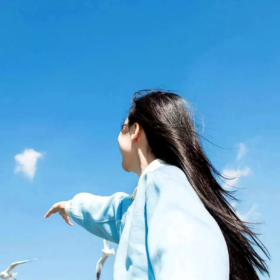 【王刚】天心