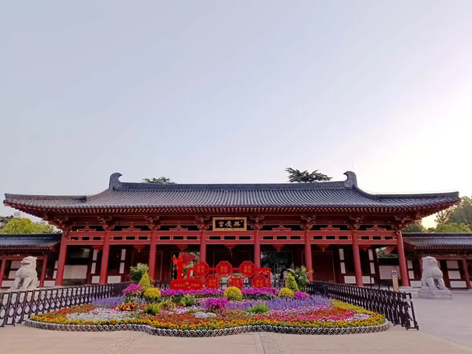 【王刚】兴庆公园即景