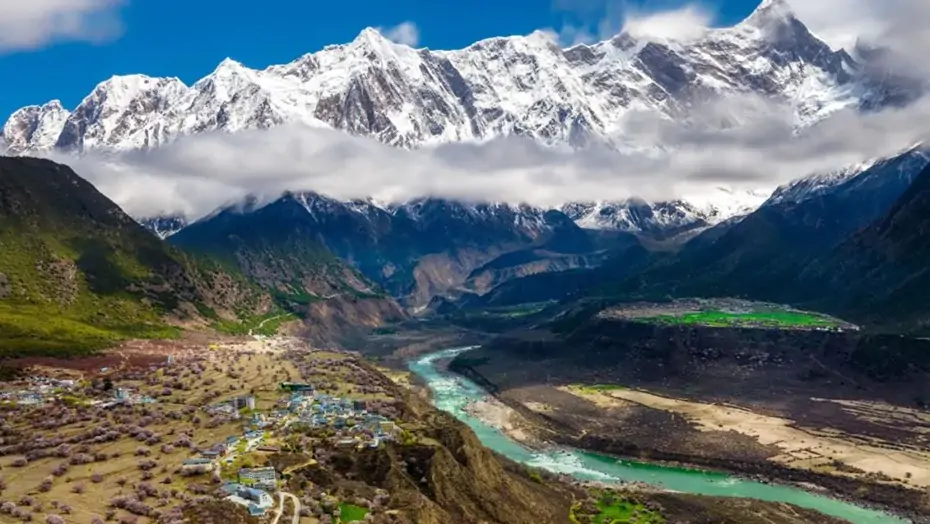 linzhi