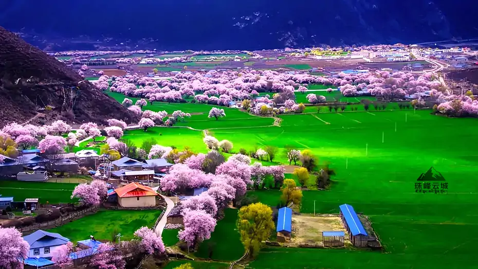 linzhig