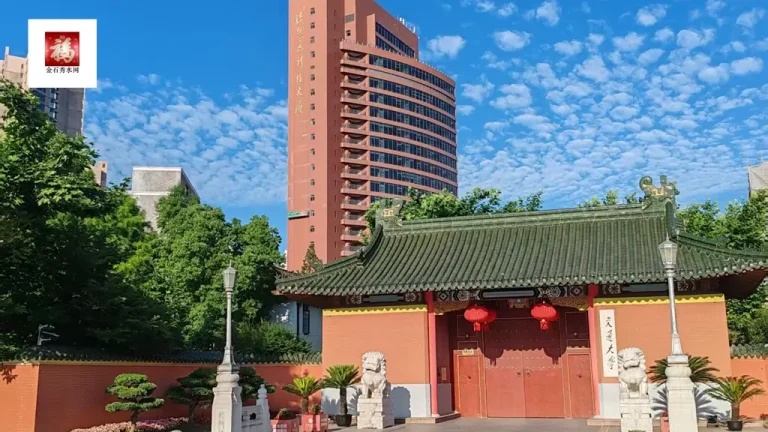 shanghaijiaoda