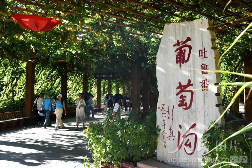 putaogou